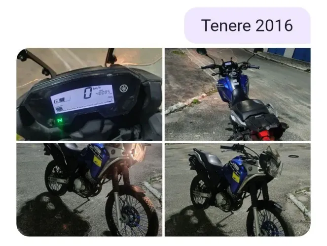Vendo tenere