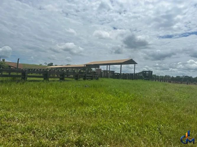 Fazenda região de Juara