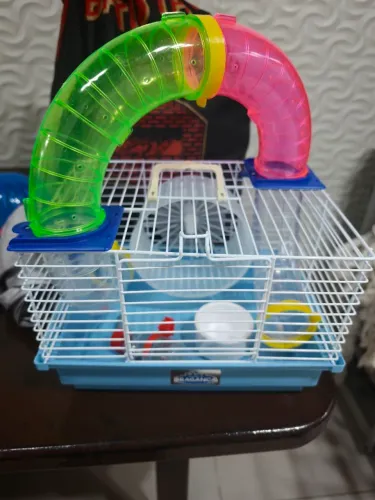Gaiola para hamster