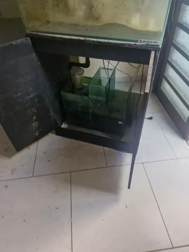 Aquario agua salgada