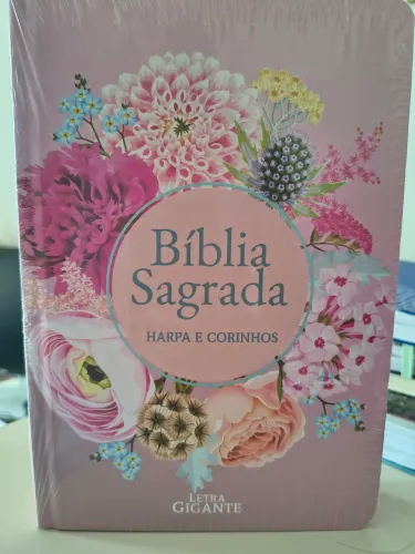 Bíblias diversas novas
