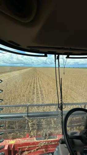 Fazenda 180 Alq plantando 70% a 20 anos 