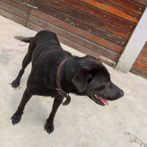 Doação  spike