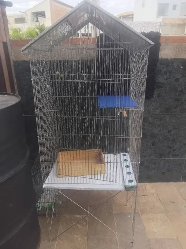 Gaiola viveiro para pássaros calopsitas