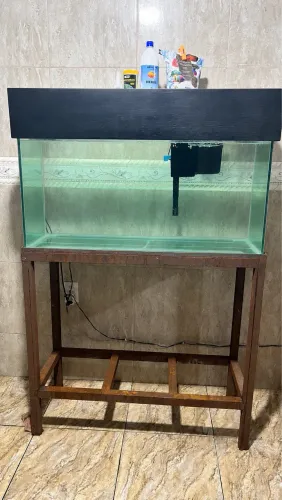 Aquário 200 litros.