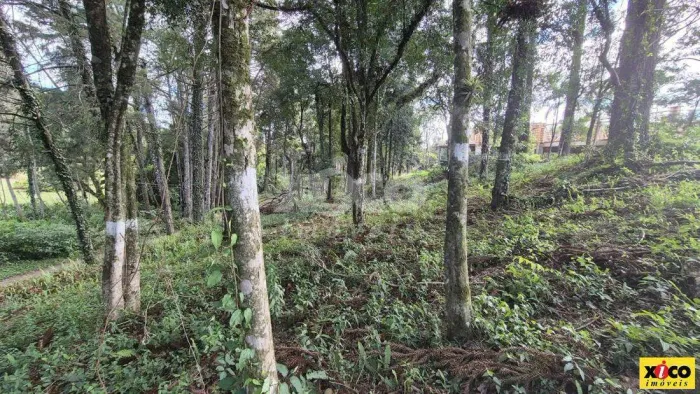 TERRENO PARA VENDA EM NOVA PETRÓPOLIS / RS NO BAIRRO PIÁ