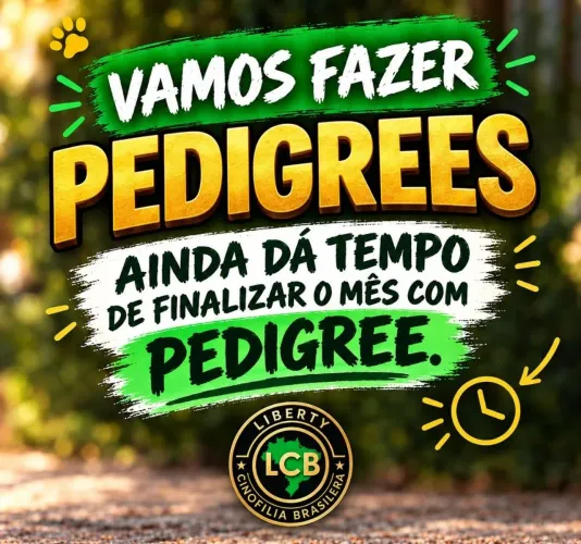 Peça já o Pedigree do seu cão de Raça
