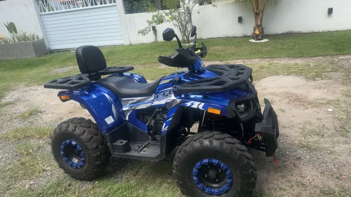 Buggy Buggy 1.6/ Tst/ RS 1.6 4-lug. 2026