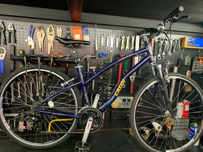 Bike caloi Easy Rider 