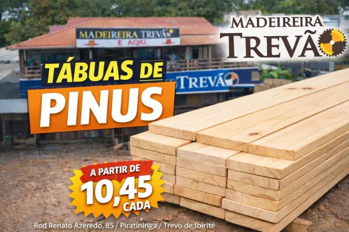 Sarrafo pinus 10 cm com 3 mt