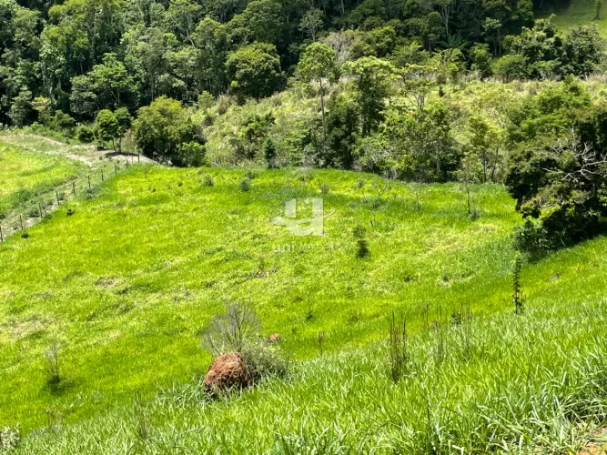 Lote / Terreno - São Pedro