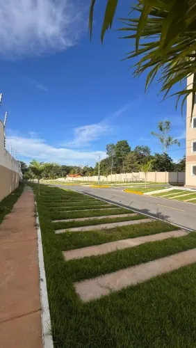Japada da palmeira