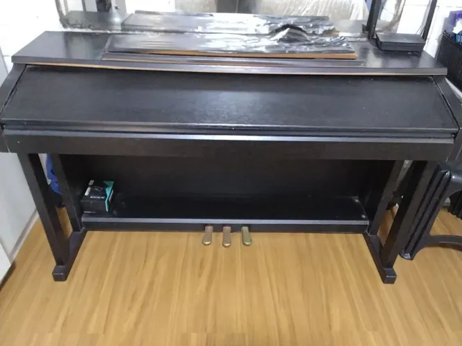 Vendo Piano acustico digital