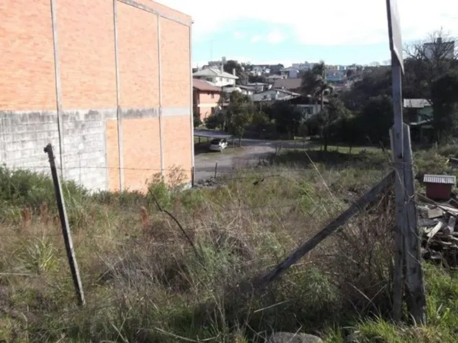 CAXIAS DO SUL - Terreno Padrão - SÃO CRISTOVÃO