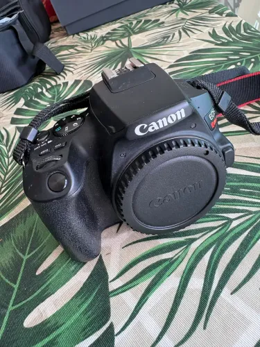 Canon Sl3 + flash twin