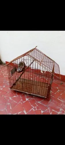Gaiolas de passarinhos, por 20 cada