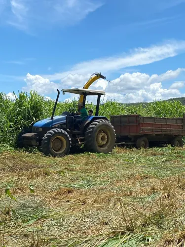 Trator TL 80 new holland e implementos 