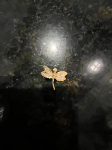 Pingente libélula de ouro 18k