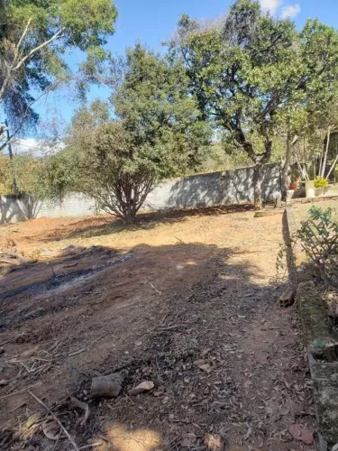 EXCELENTE LOTE, MURADO, PÉS DE FRUTA, ÓTIMA VIZINHANÇA