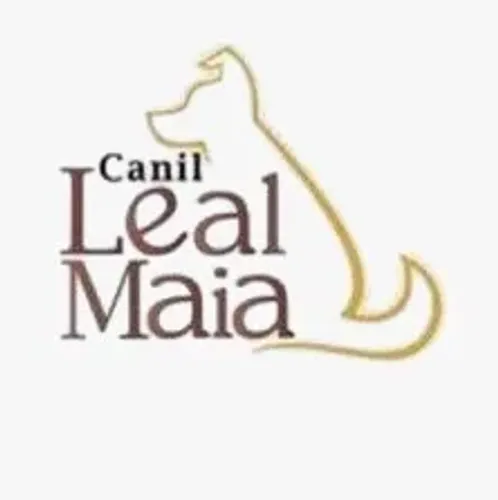 Canil Leal Maia especializado em Lulu / Melhor linhagem / Maior canil de Spitz
