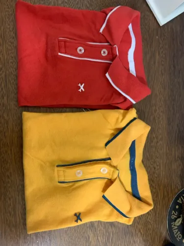 2 Polos Hering Kids