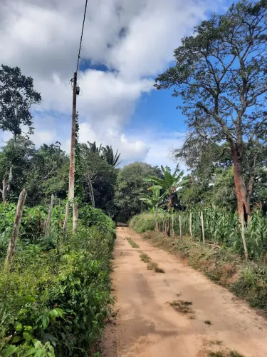 Propriedade rural em ubajara