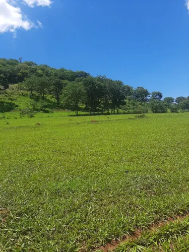 Fazenda Itumbiara 18 alqueires 