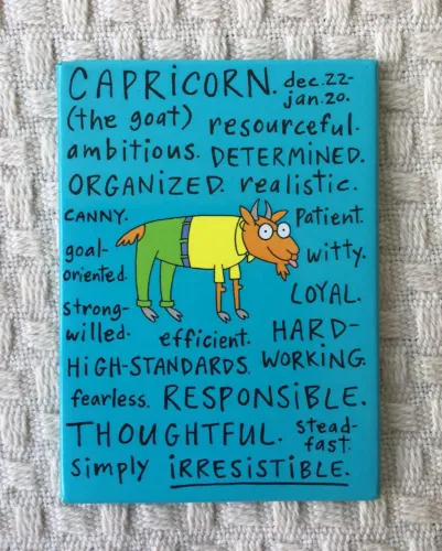 Ímã do signo capricórnio 