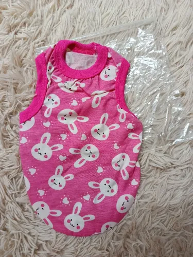 Roupas Pet