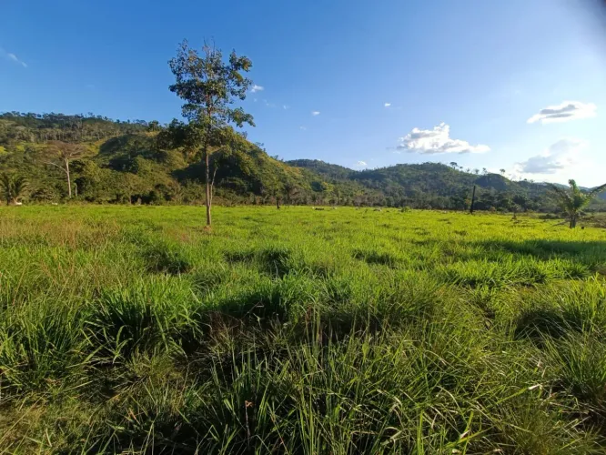 Excelente Fazenda em São Félix do Xingu - 61 Alqueires (45 Abertos), Ótima Estrutura