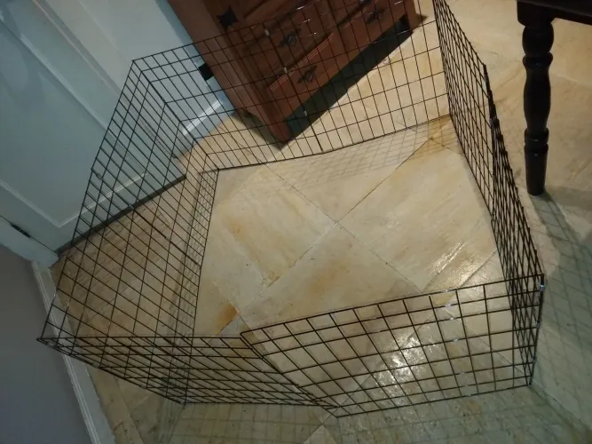 Cercadinho pet