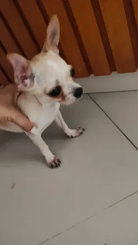 A procura de uma namorada!