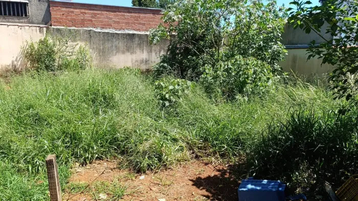 Roçagem e capinas