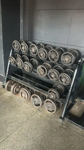 Kit dumbells usados