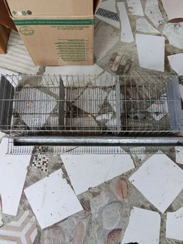 VENDA DE GAIOLAS PARA CODORNAS