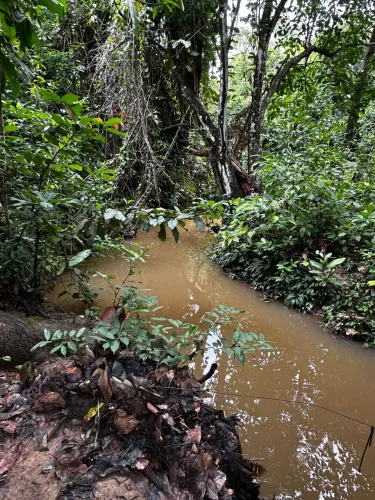Fazenda niquelandia