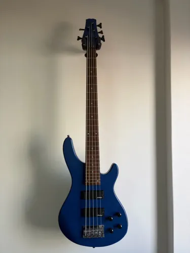 Baixo Strinberg 5 cordas