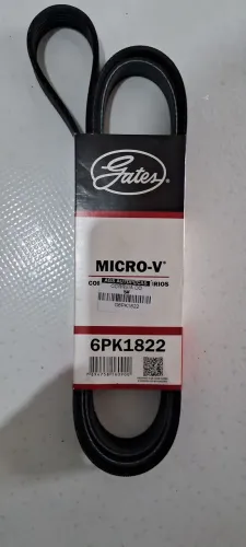 Correia micro v Gates 6pk1822 Renault e Ford