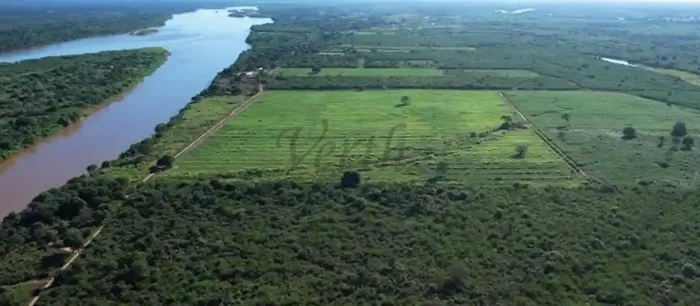 FAZENDA À VENDA 4.538 HECTARES | PECUÁRIA - JANUÁRIA -MG | BEIRA RIO SÃO FRANCISCO