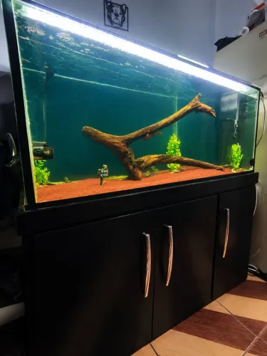 Aquário 240lts com móvel e sump!!