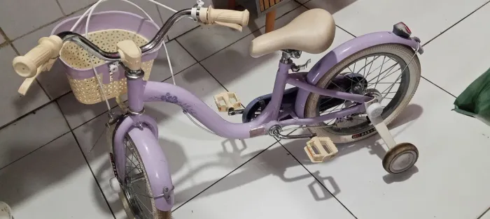 Bicicleta