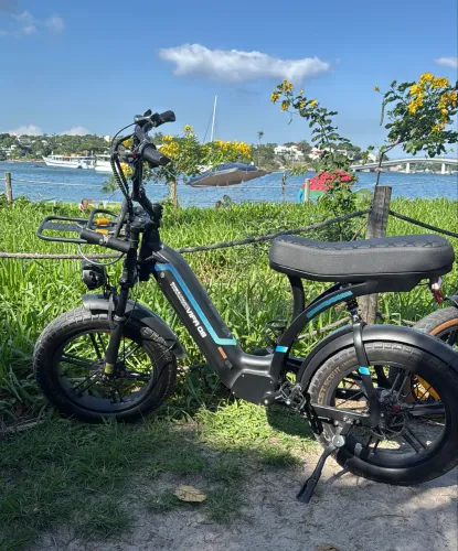 Bicicleta Elétrica VIFA 08 - Estilo Moped (Fat Tire) - Impecável