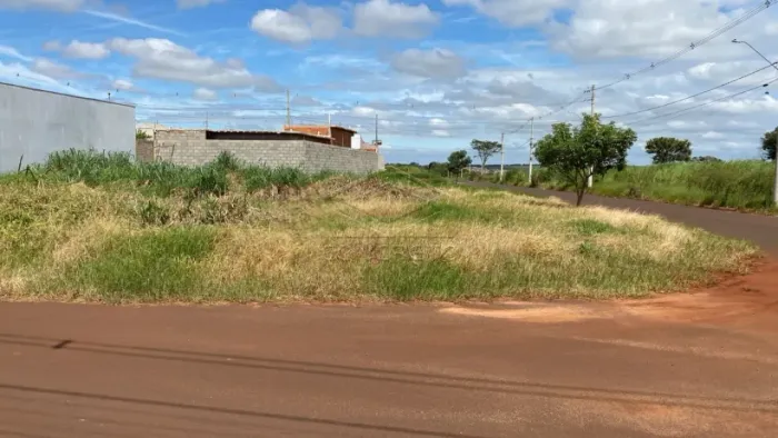 Terreno Padrão em Jaú