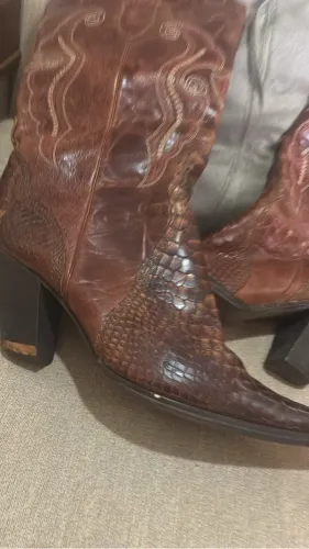 Bota