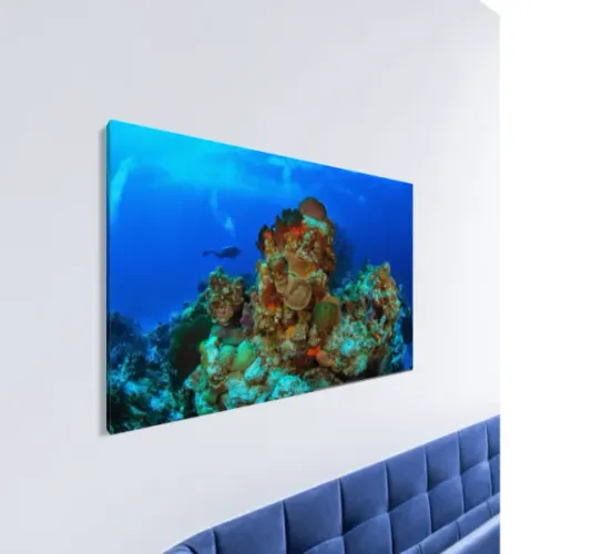 Quadro com Fotografia da Natureza (tamanho 50 x 70cm em tela canvas)