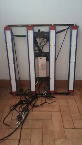 Led cultivo indoor 250w