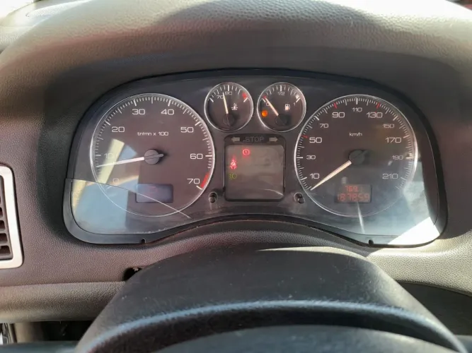 Peugeot 307 Feline/griff/premi. 2.0 Flex 5P Aut. 2007