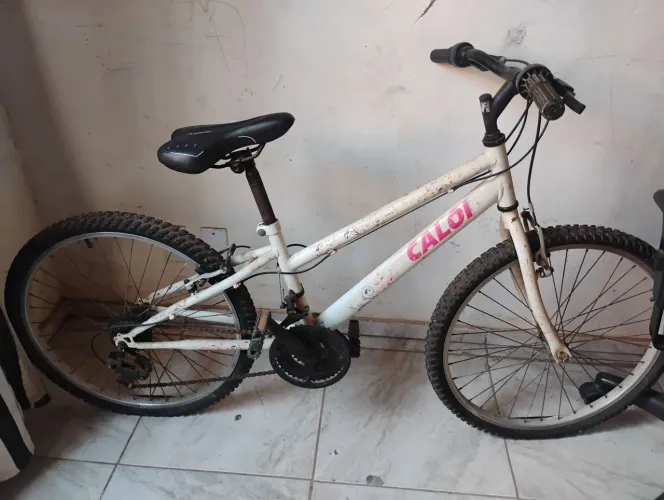 Bicicleta