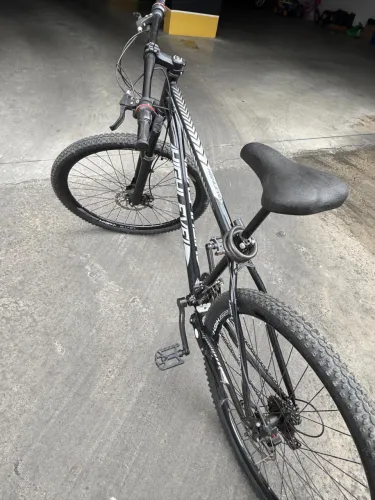 Bicicleta
