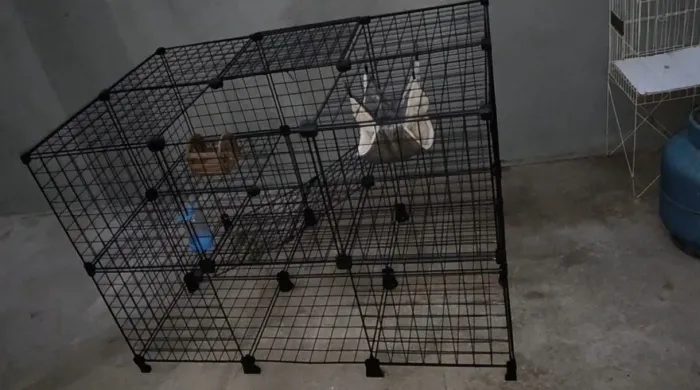 Gaiola grande para pets